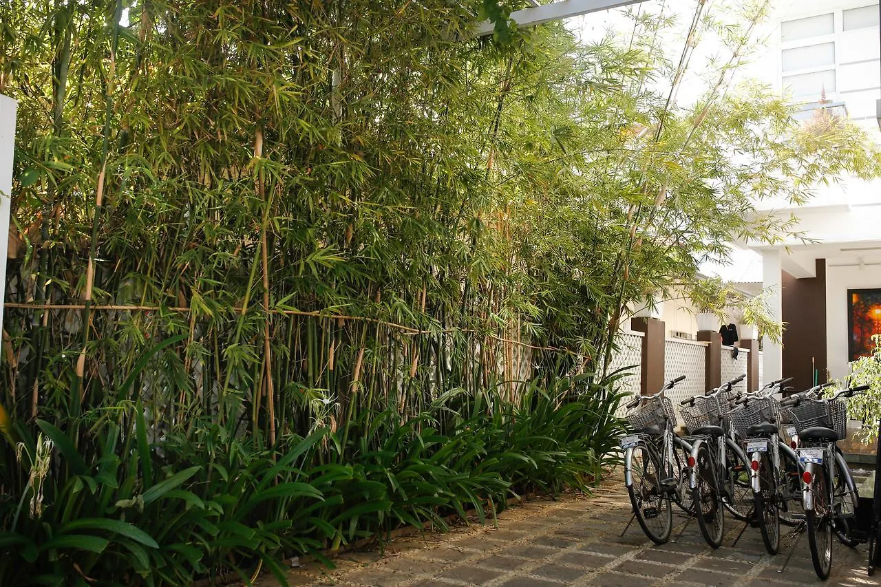 Chau Plus Homestay Hoi An